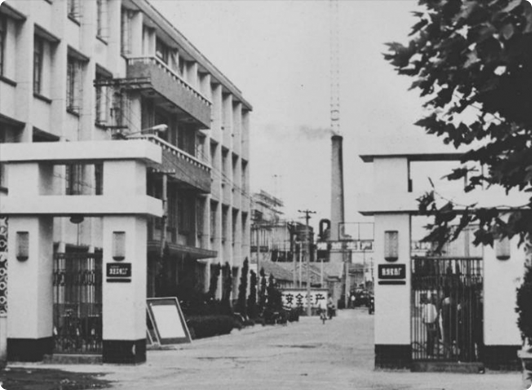 fz-tcjy-img2 Yangnong Group’s Relocation