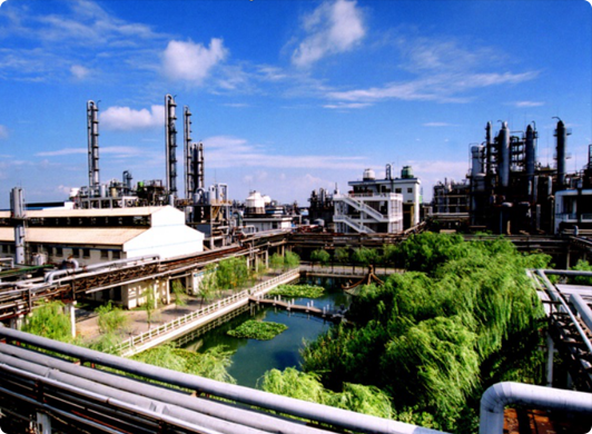 fz-tcjy-img3 Yangnong Group’s Relocation