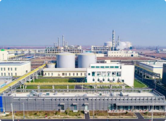 fz-tcjy-img7 Yangnong Group’s Relocation