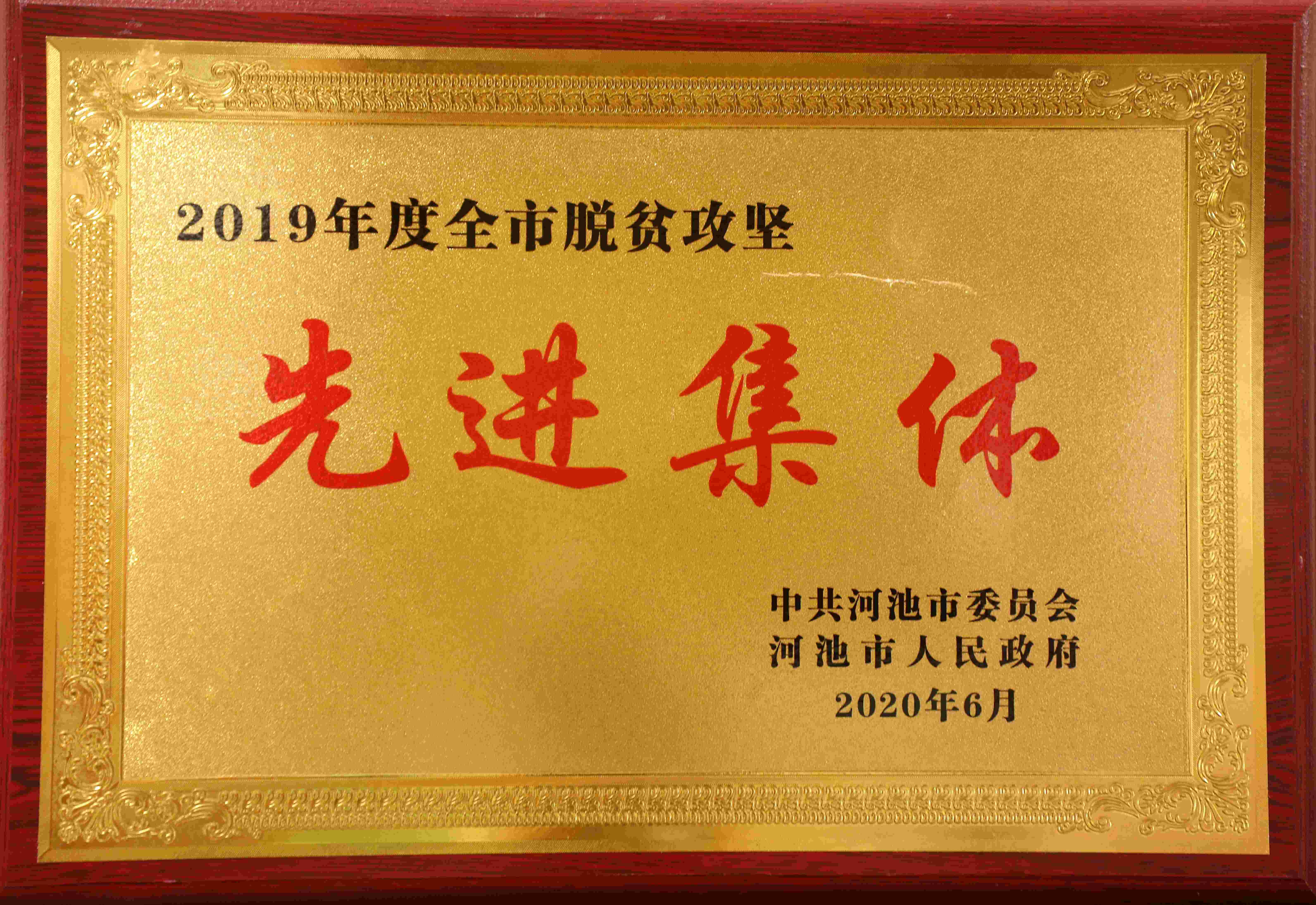 2019年度河池市脱贫攻坚先进整体